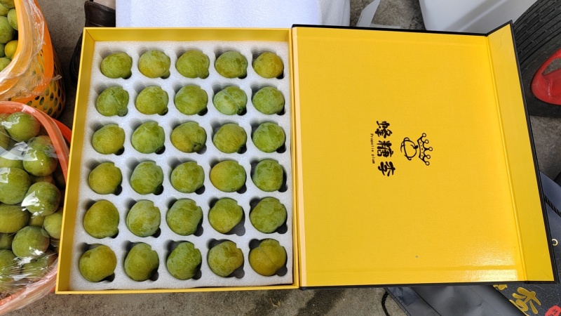 正宗六马蜂糖李一件代发