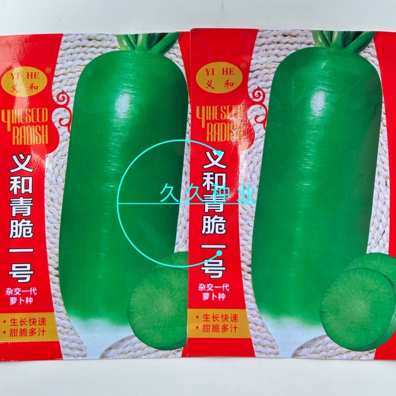 义和青脆一号萝卜种子早熟耐热夏秋季播青皮萝卜种籽抗病性强