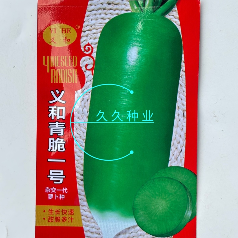 义和青脆一号萝卜种子早熟耐热夏秋季播青皮萝卜种籽抗病性强