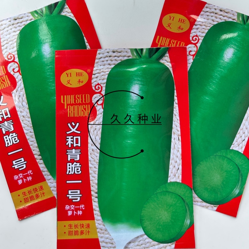 义和青脆一号萝卜种子早熟耐热夏秋季播青皮萝卜种籽抗病性强