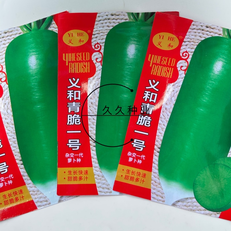 义和青脆一号萝卜种子早熟耐热夏秋季播青皮萝卜种籽抗病性强