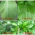 开禾农用有机硅助剂溢施宝农药助剂