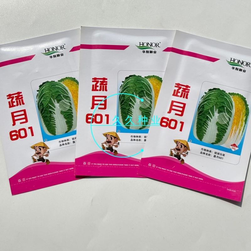 蔬月601黄芯大白菜种子秋季冬储黄心白菜种籽蔬菜山东大白
