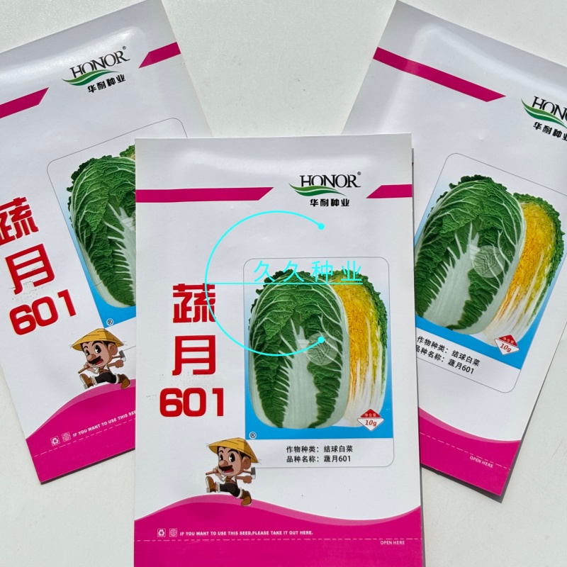 蔬月601黄芯大白菜种子秋季冬储黄心白菜种籽蔬菜山东大白
