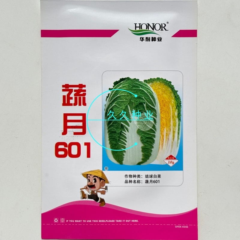 蔬月601黄芯大白菜种子秋季冬储黄心白菜种籽蔬菜山东大白