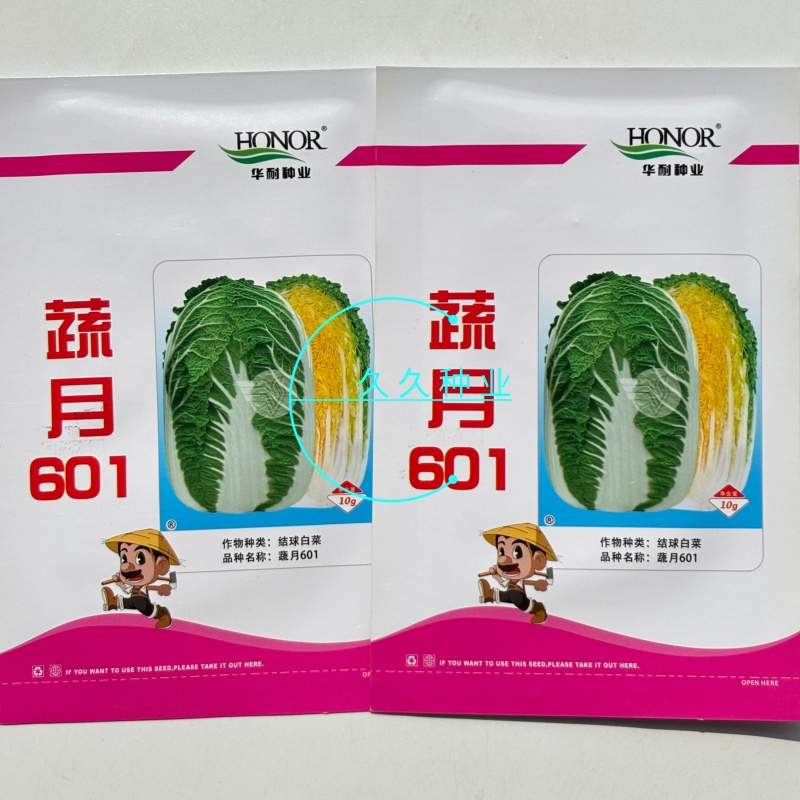 蔬月601黄芯大白菜种子秋季冬储黄心白菜种籽蔬菜山东大白