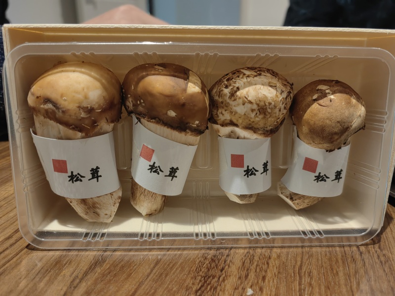 松茸干片批发鲜松茸新鲜松茸松茸干片松茸批发