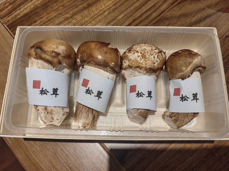 松茸干片批发鲜松茸新鲜松茸松茸干片松茸批发