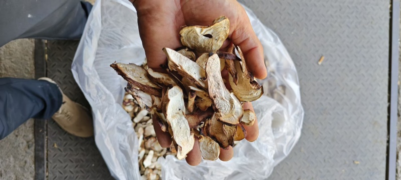 松茸干片批发鲜松茸新鲜松茸松茸干片松茸批发