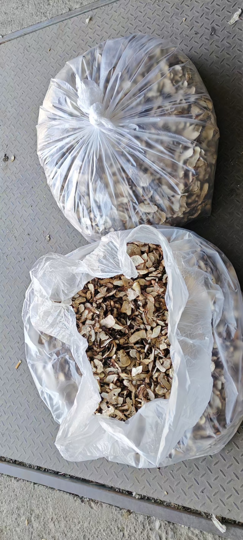 松茸干片批发鲜松茸新鲜松茸松茸干片松茸批发