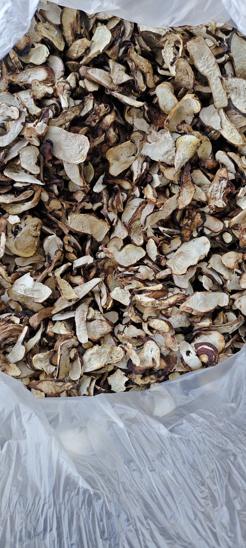 松茸干片批发鲜松茸新鲜松茸松茸干片松茸批发