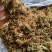 云南野生金银花中药材精品金银花野生种植大量现货