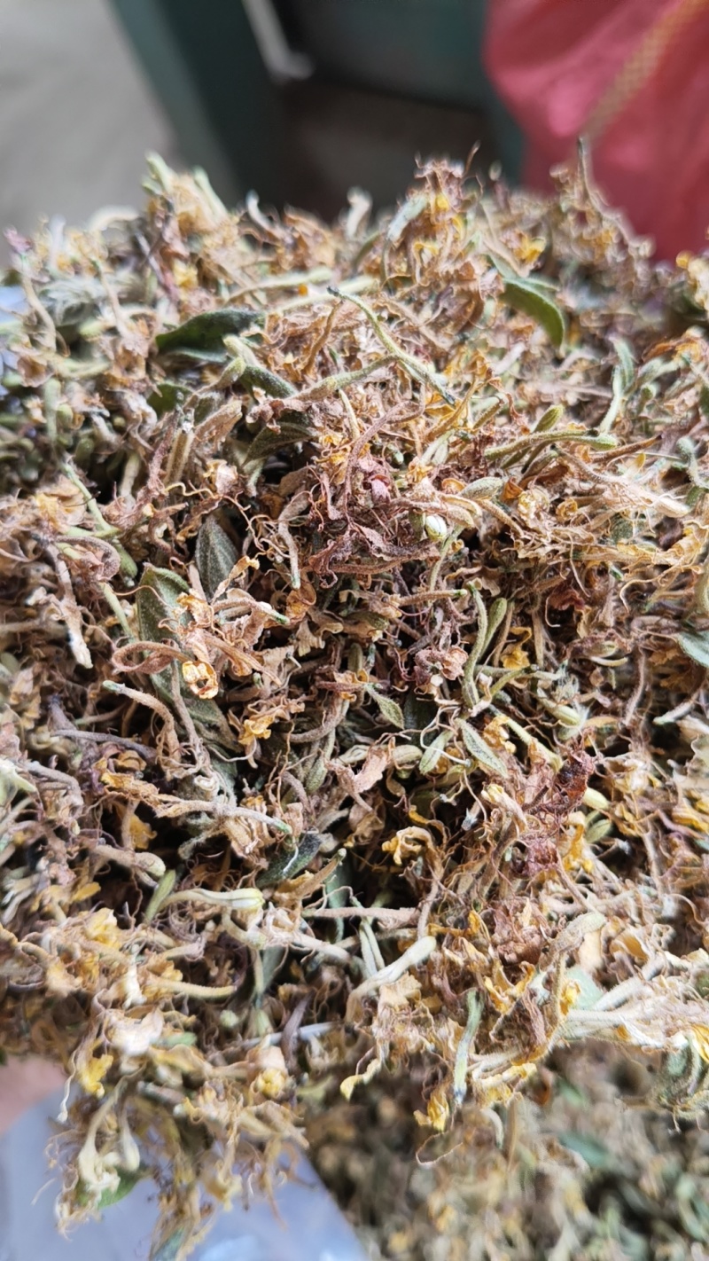 云南野生金银花中药材精品金银花野生种植大量现货