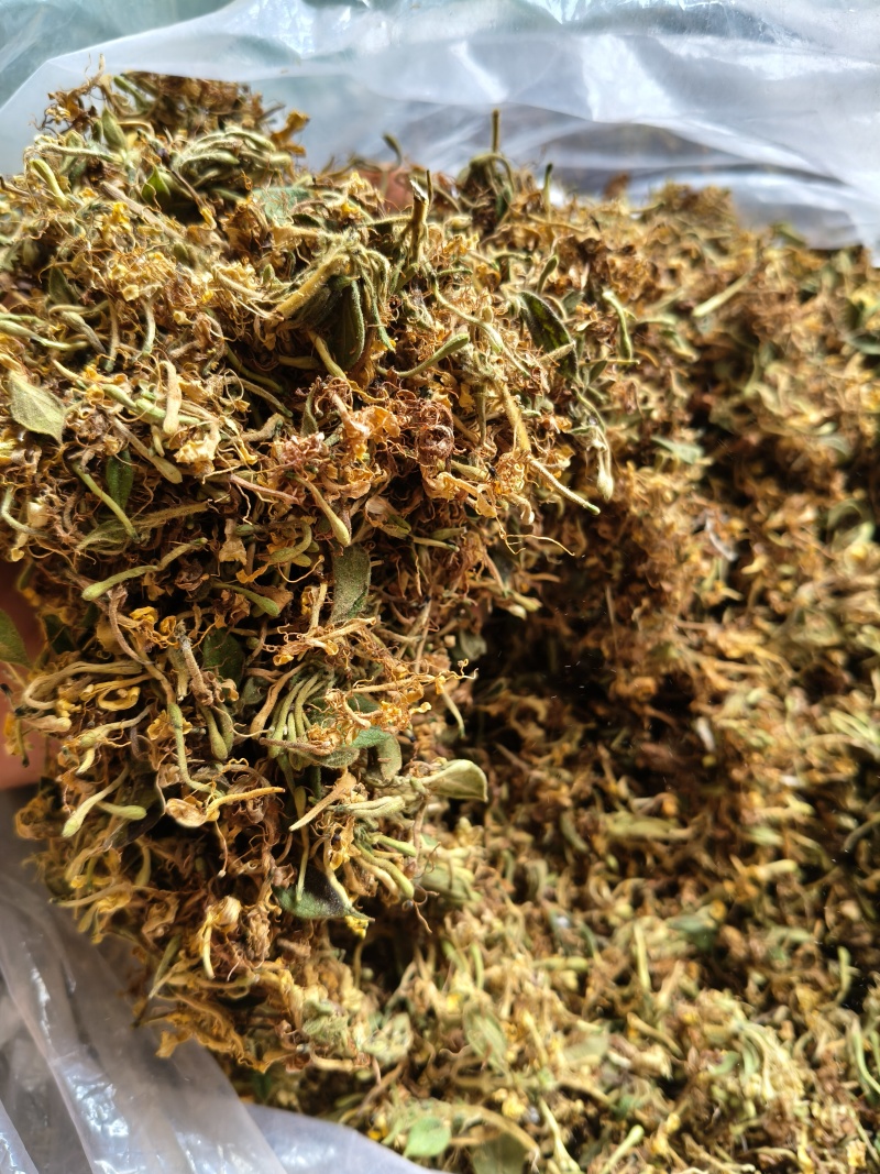 云南野生金银花中药材精品金银花野生种植大量现货