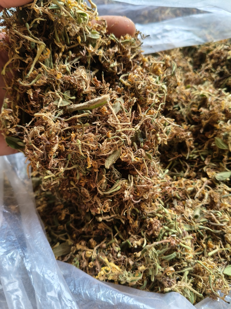 云南野生金银花中药材精品金银花野生种植大量现货