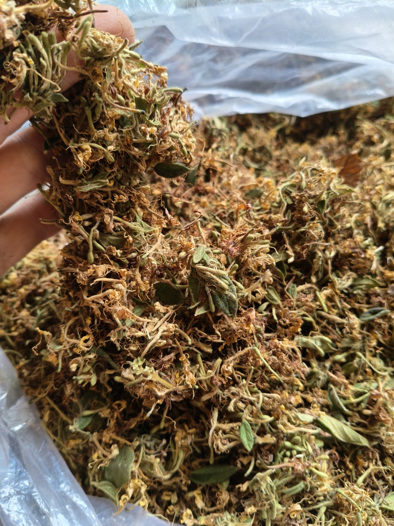 云南野生金银花中药材精品金银花野生种植大量现货