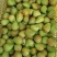 鲜无花果，青皮无花果，新鲜上市，天然无公害