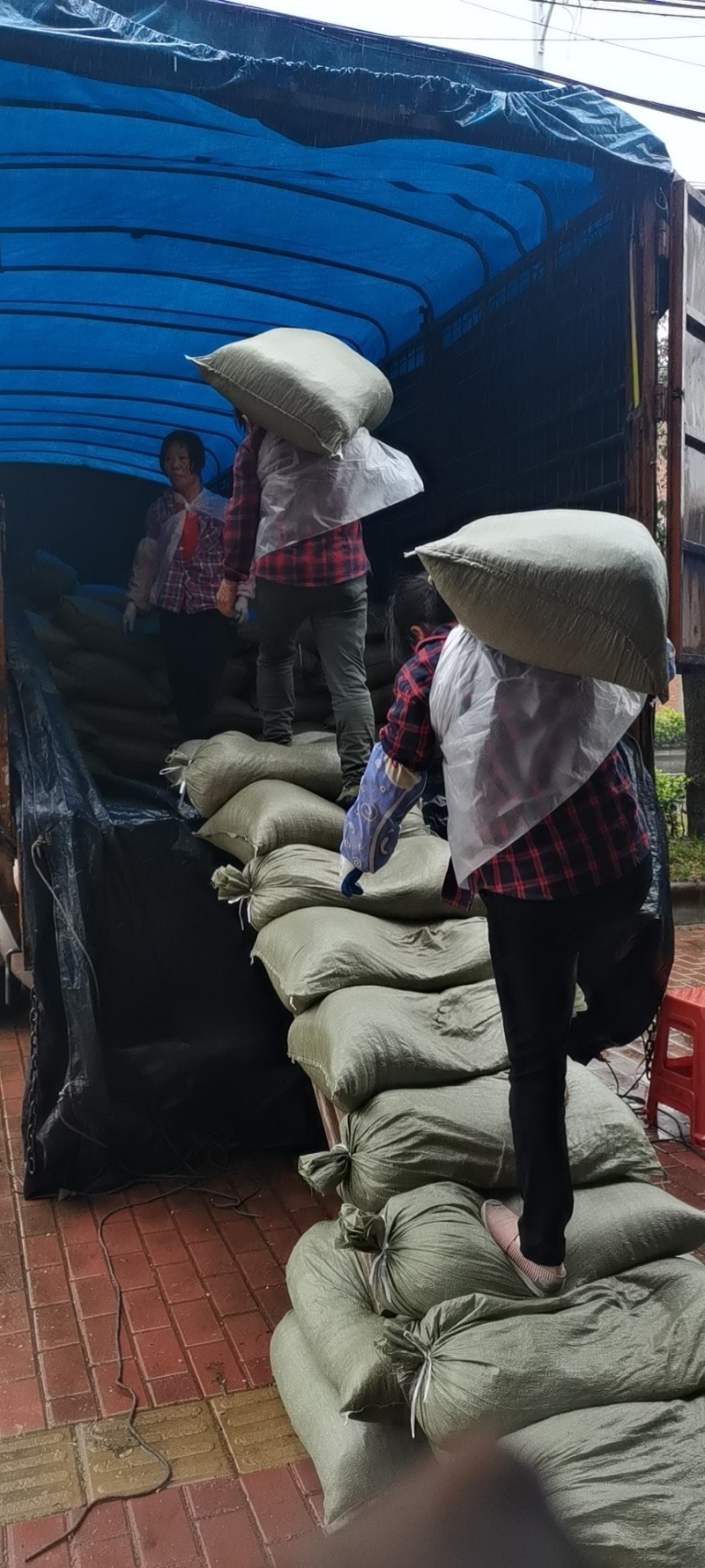 干笋笋丝网红地摊江湖跑量笋丝，每袋60斤
