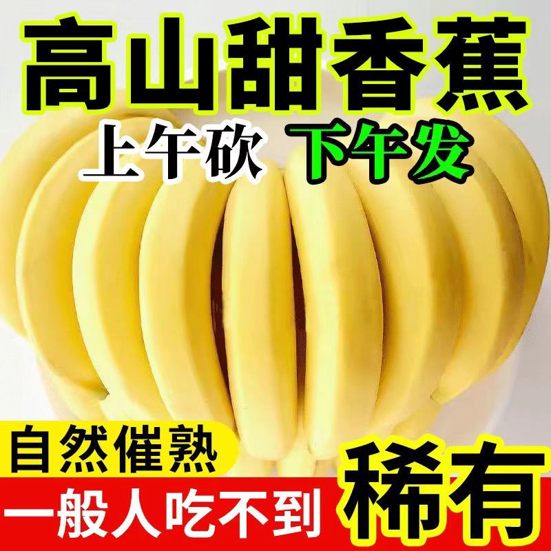 云南香蕉，对接商超，市场，薄皮一整箱批发大果精选甜