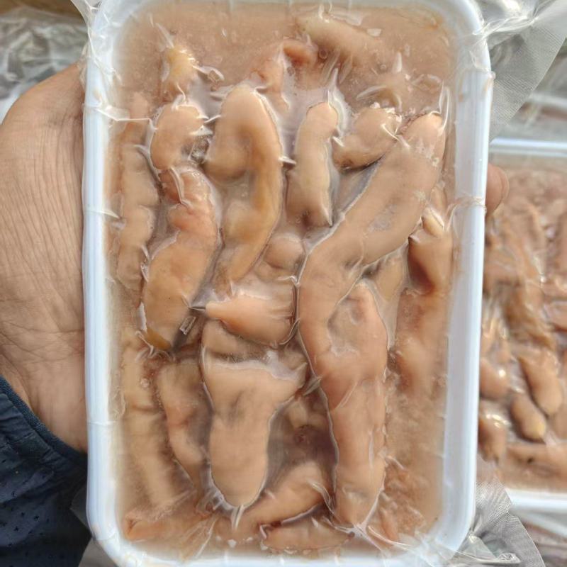 海肠