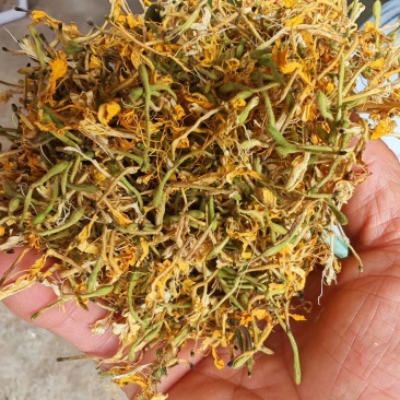 无硫金银花