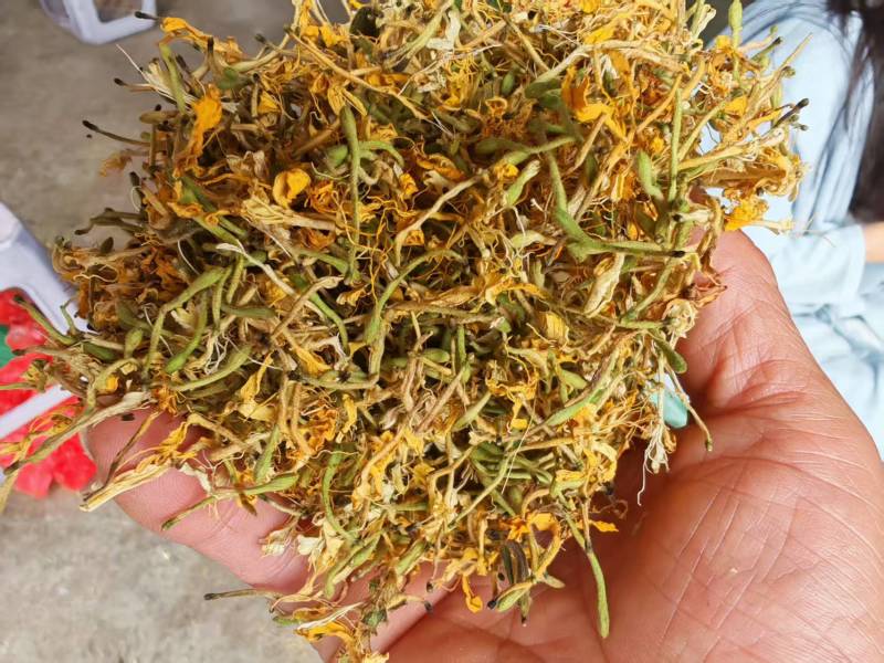 无硫金银花