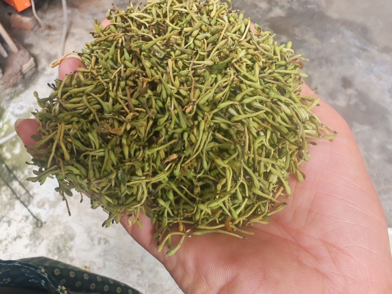 无硫金银花