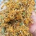 无硫金银花