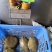 黄沙鳖公甲鱼，4年纯外塘养殖，好品质，吃鱼虾长大