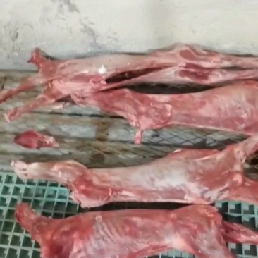 纯干烤全羊
