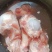 0602前腿骨