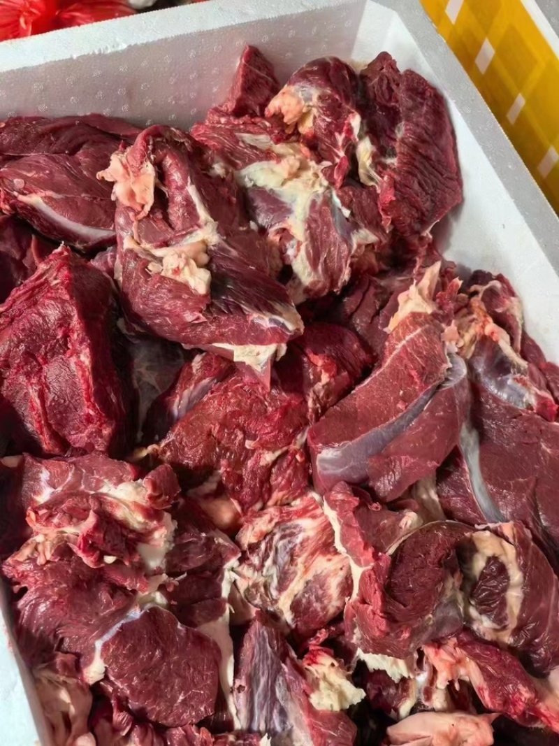 新鲜现杀带皮驴肉去皮驴肉新鲜现宰生纯驴肉马肉正宗酒店食材