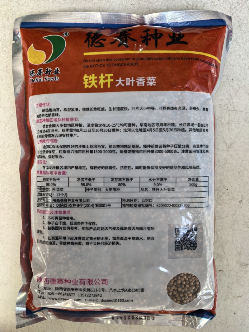 罗马铁杆大叶香菜种子耐热35度夏天耐寒耐抽苔夏播抗高温