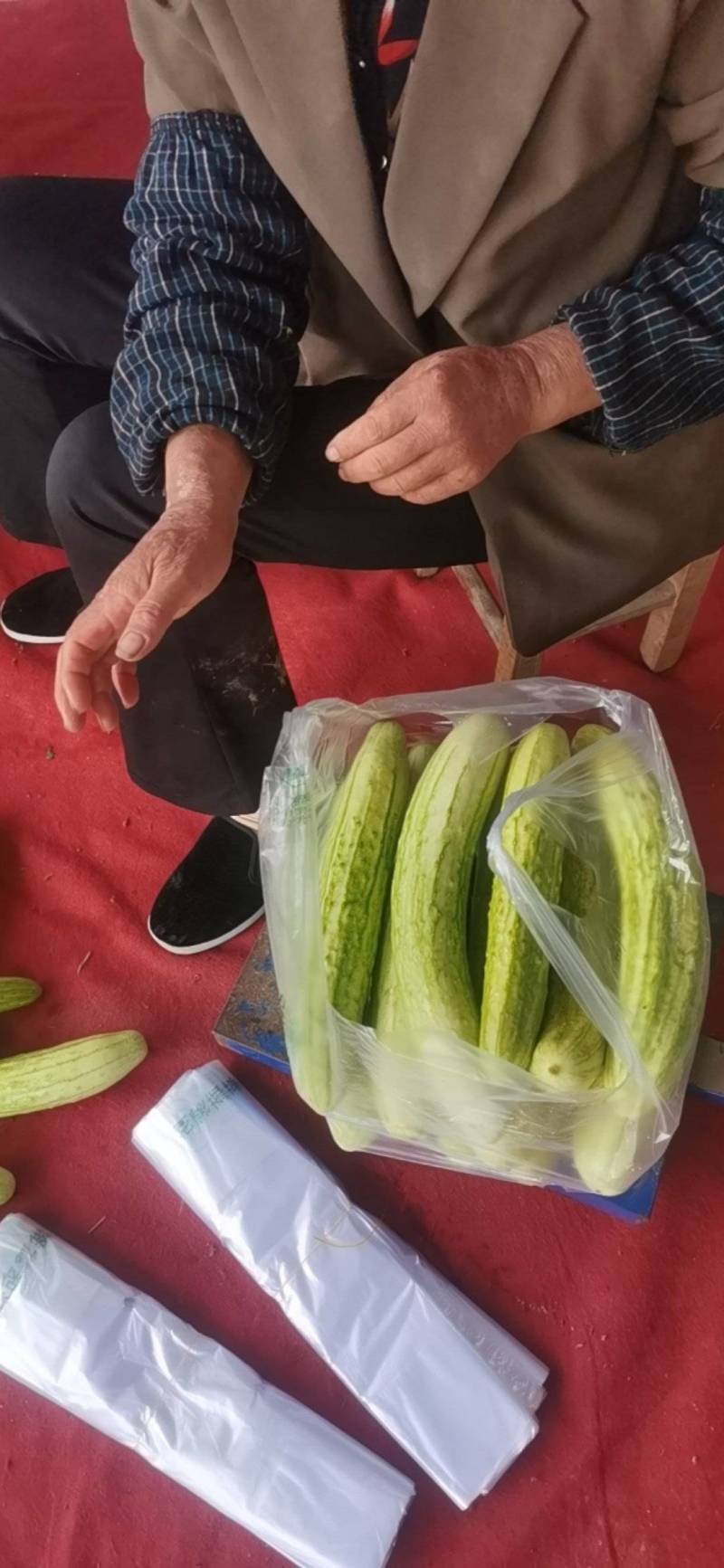 白黄瓜，产地直发，全国销售，欢迎进店选购