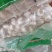 河南蒜种，一手货源质量保证，对接全国，视频看货，欢迎致电