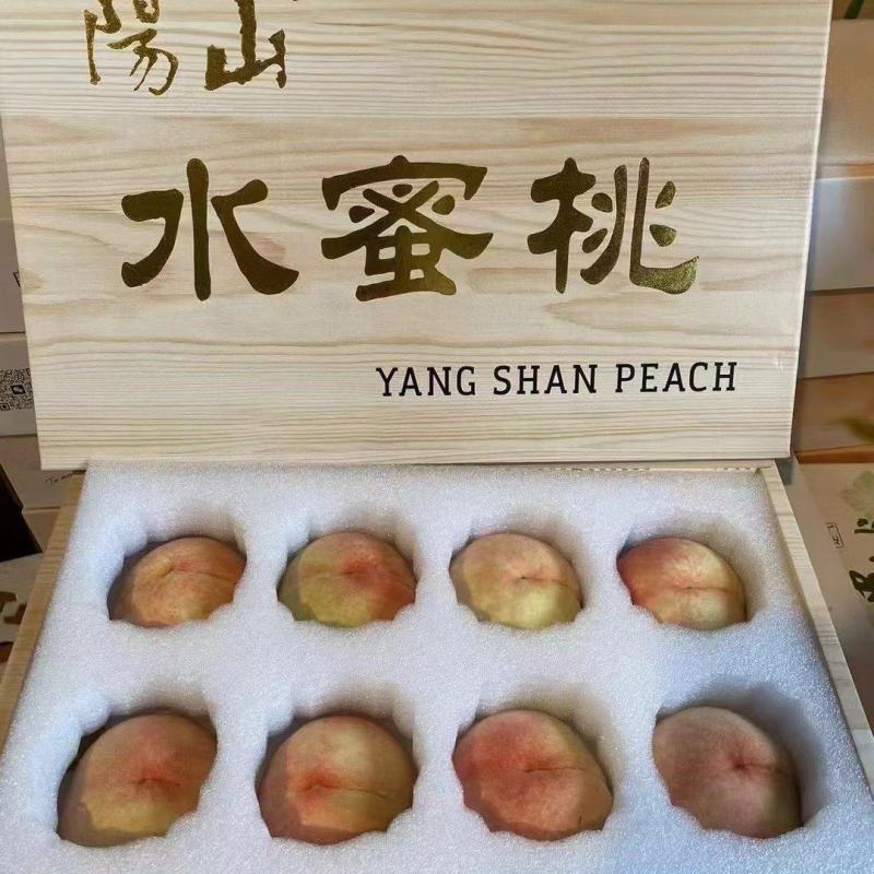无锡阳山水蜜桃大量上市，支持一件代发