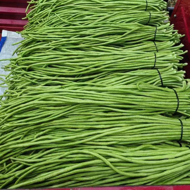 河南开封豆角，产地直发一手货源质量保证对接全国