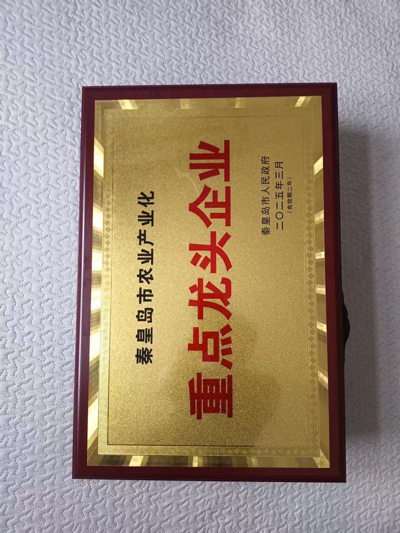 青龙特产，野生榛蘑大量供应产地直发量大从优欢迎来电