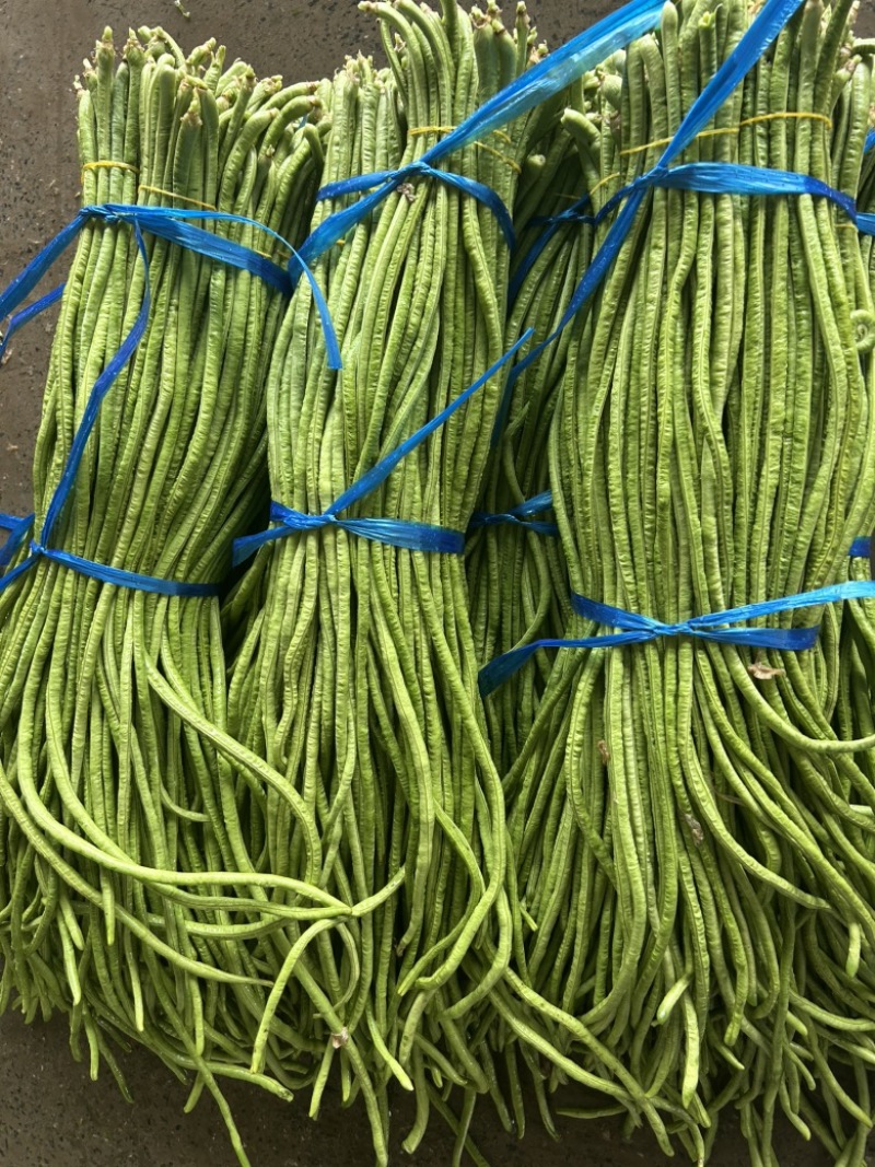河南长豆角青条豆角豇豆对接电商市场商超