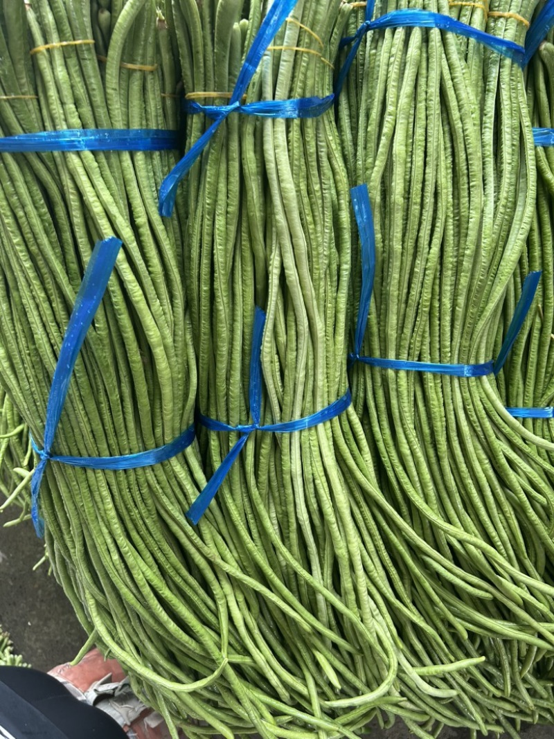 河南长豆角青条豆角豇豆对接电商市场商超