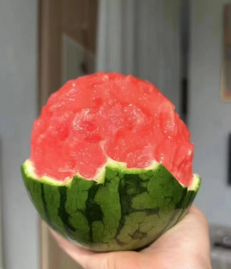 宝鸡美都，各种品类西瓜大量上市，欢迎各位老板前来选购