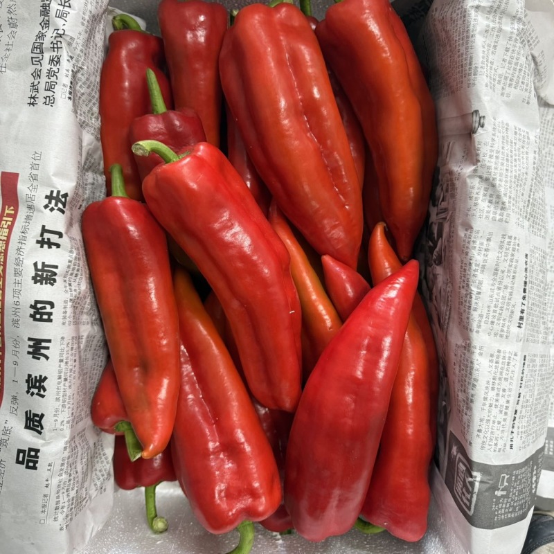 河北唐山一级红尖椒，河北一级红尖椒，河北A级精品红尖椒