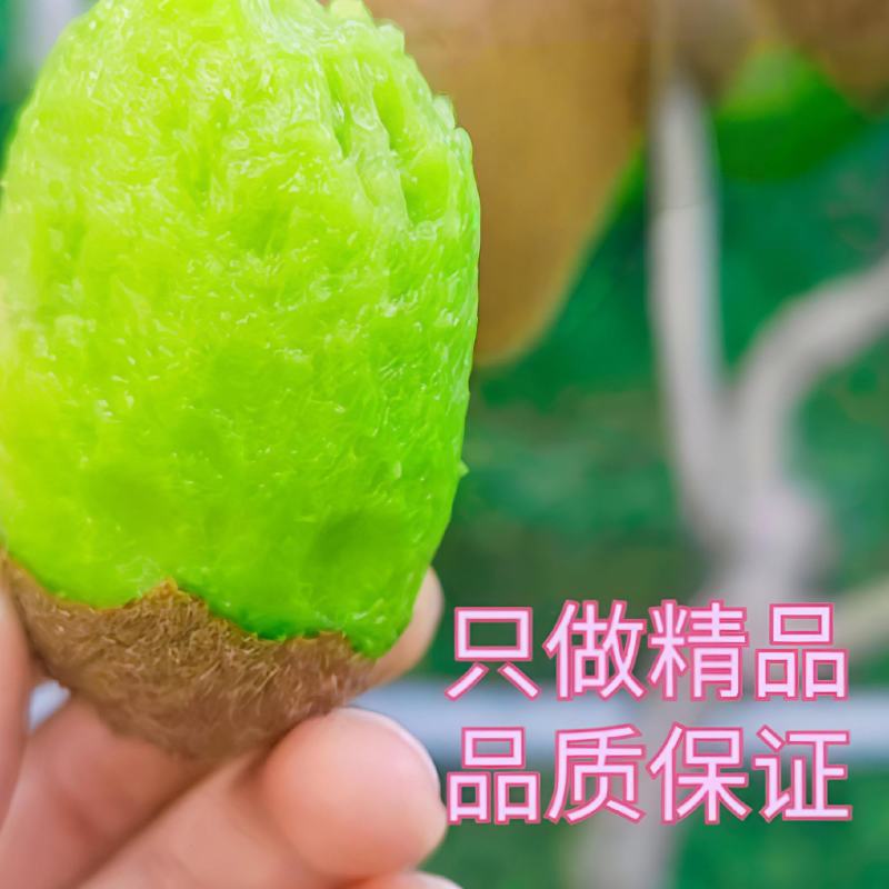 绿心猕猴桃，米良一（湖南湘西凤凰县）产地精品货源对接直供