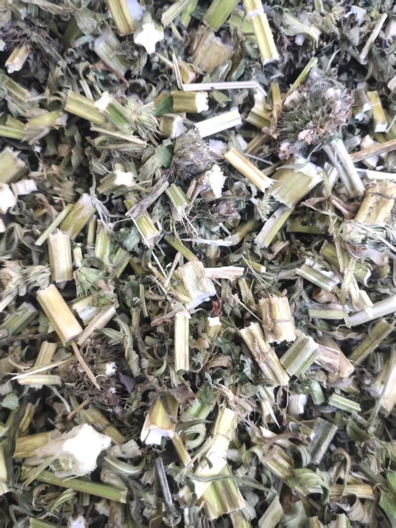 【黑龙江益母草】随行就市支持视频看货，可发往全国市场！