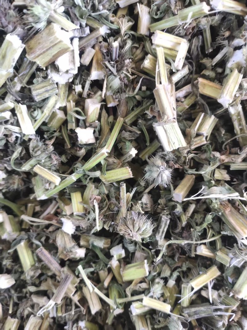 【黑龙江益母草】随行就市支持视频看货，可发往全国市场！