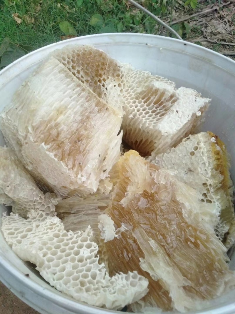 云南野生蜂蜜