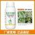 奥植丰5%氨基寡糖素抗病毒病提抗性防病害农药植物诱抗剂