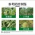 奥植丰5%氨基寡糖素抗病毒病提抗性防病害农药植物诱抗剂