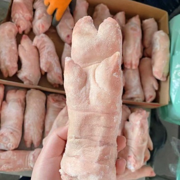 纯干猪蹄