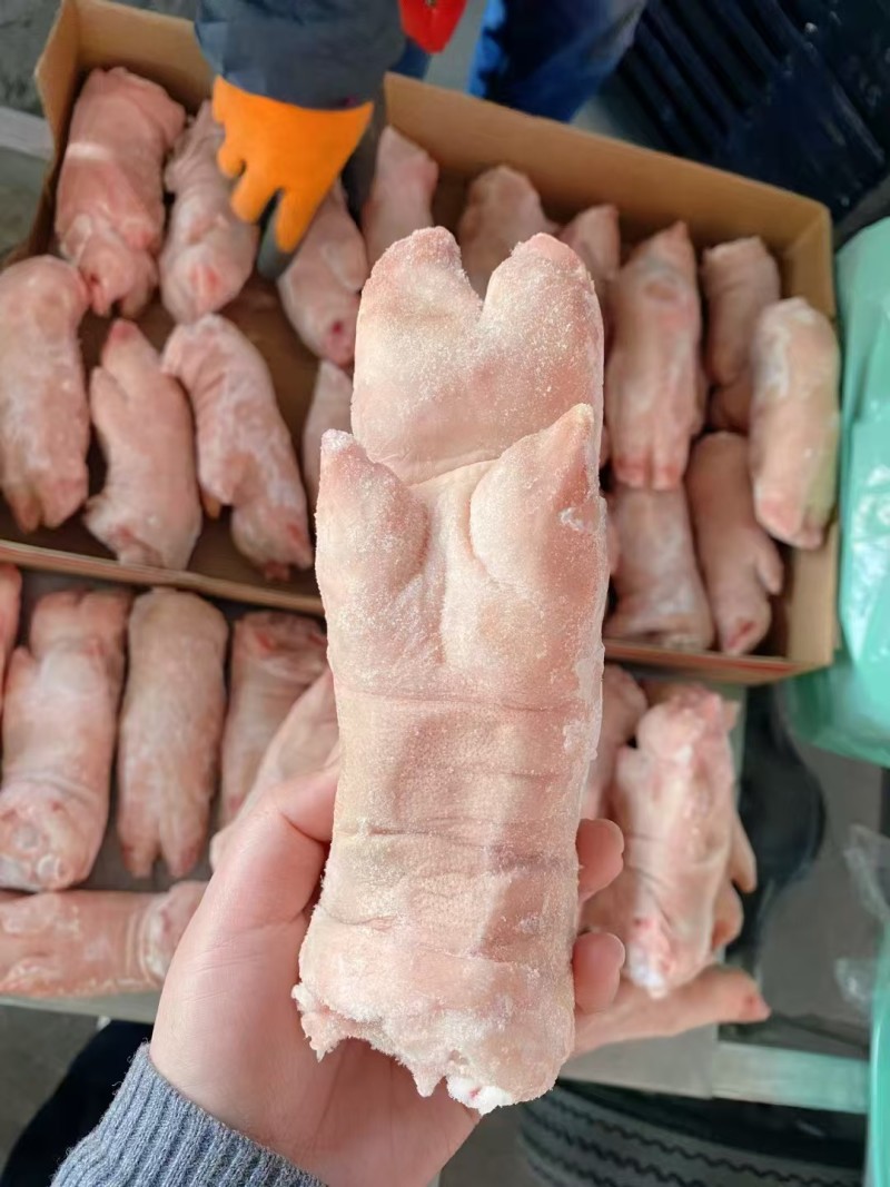 纯干猪蹄